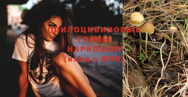 дурь Пересвет