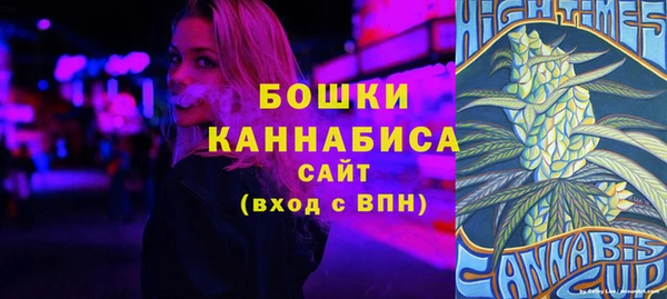 дурь Пересвет